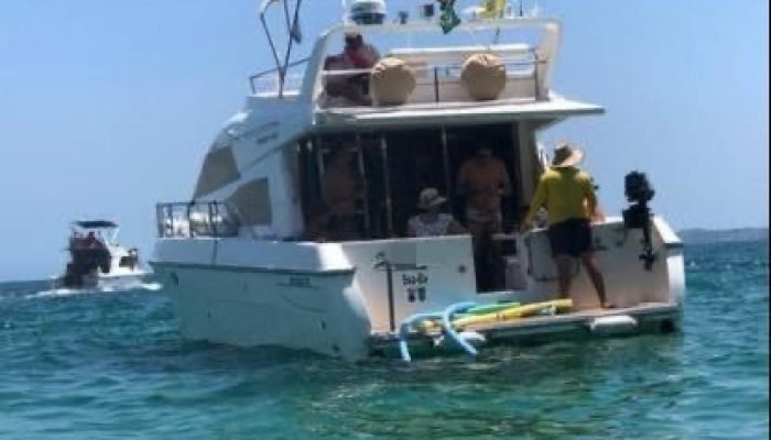 4b1157df-fbaa-4307-adae-91d9fa9ffce8