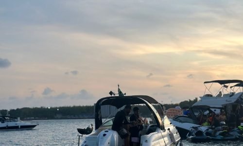 4c500f94-0d64-45c5-82bc-3870cc9e2d8d