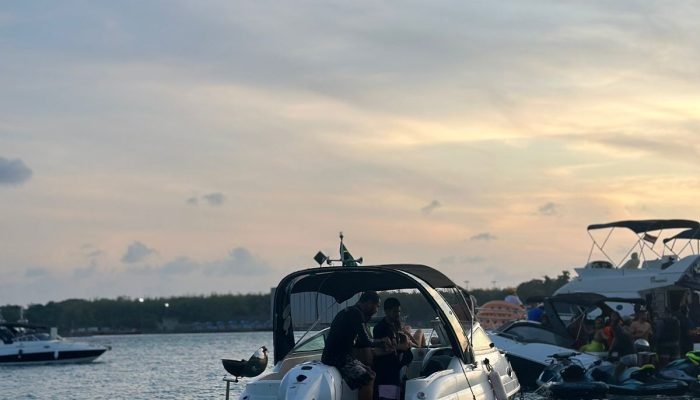 4c500f94-0d64-45c5-82bc-3870cc9e2d8d