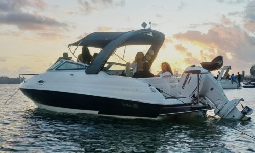 51d4d53e-d13d-4574-82a9-240e48bb019b