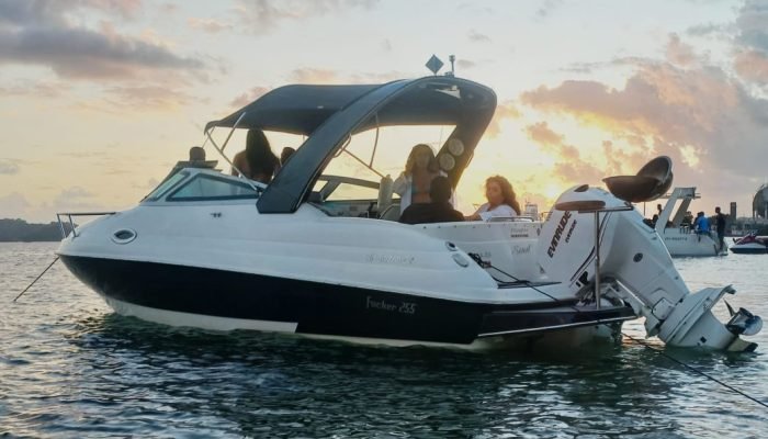 51d4d53e-d13d-4574-82a9-240e48bb019b