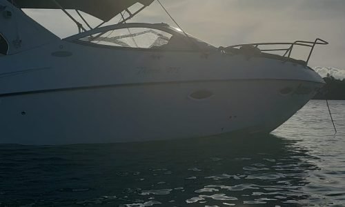 53acfdee-ad26-4ed6-a0b2-914b99b8c6c7