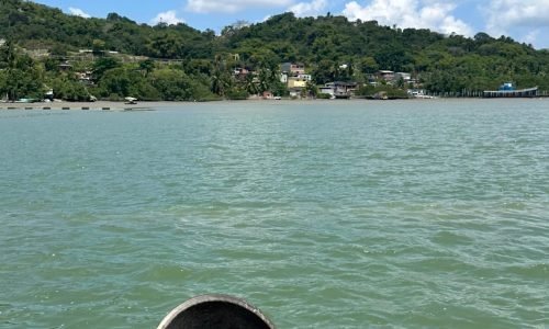 6ab023d8-f2cc-4b85-98e5-2b5aa792beb6