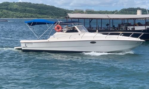 9c9e9262-3819-463f-8f4b-d3ed5df76572