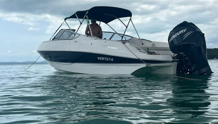 WhatsApp Image 2024-10-29 at 10.17.22 (1)