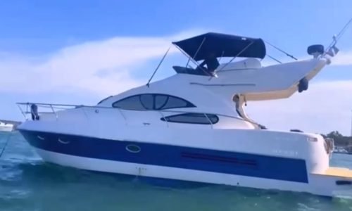 WhatsApp Image 2024-10-31 at 15.37.58