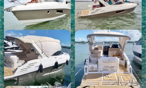 cf7e5909-537d-480e-ba96-ef8245c1a54f